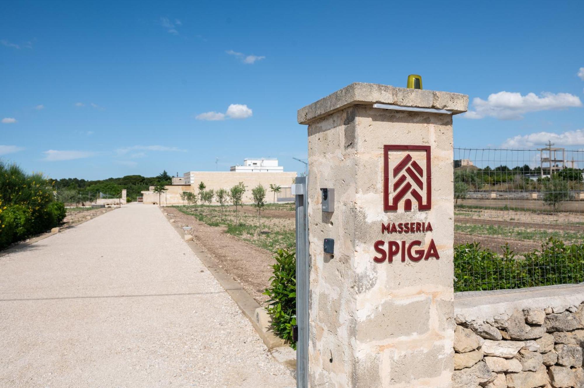 Masseria Spiga Gravina in Puglia Luaran gambar