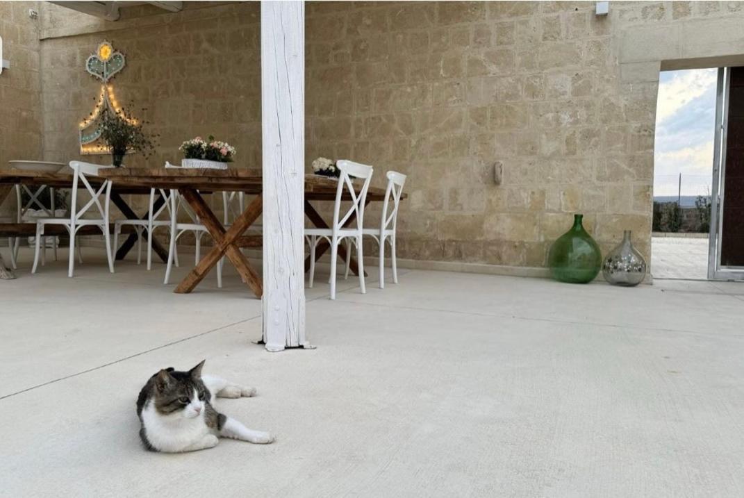 Masseria Spiga Gravina in Puglia Luaran gambar